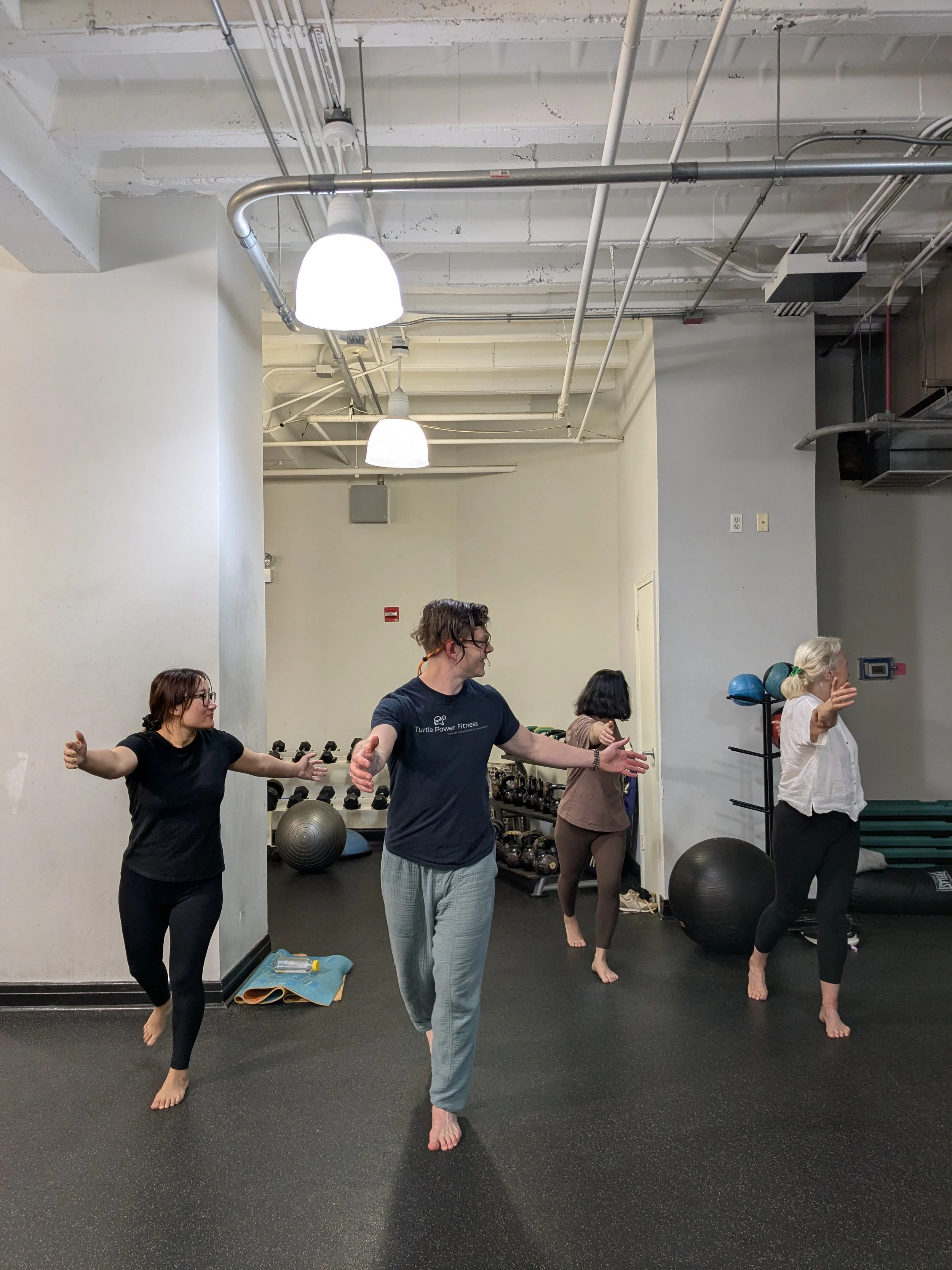 Free & Sliding Scale Qi Gong in Chicago | Turtle Power Fitness